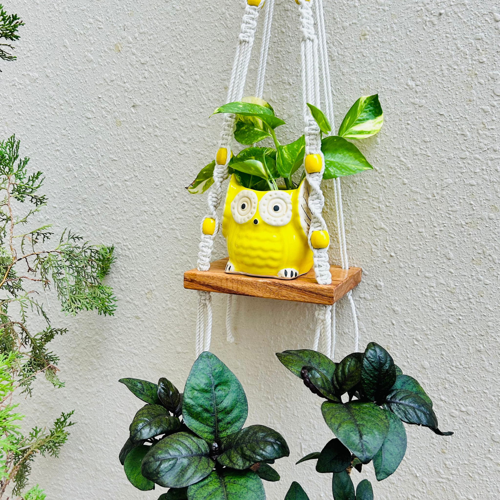 Braided mini shelf