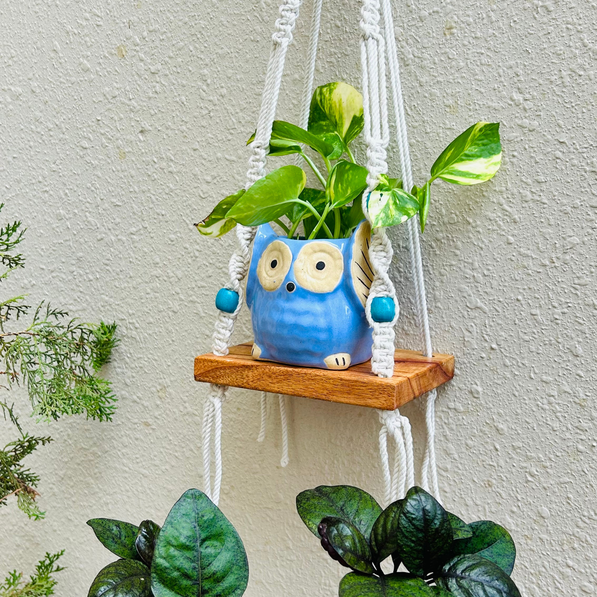 Braided mini shelf