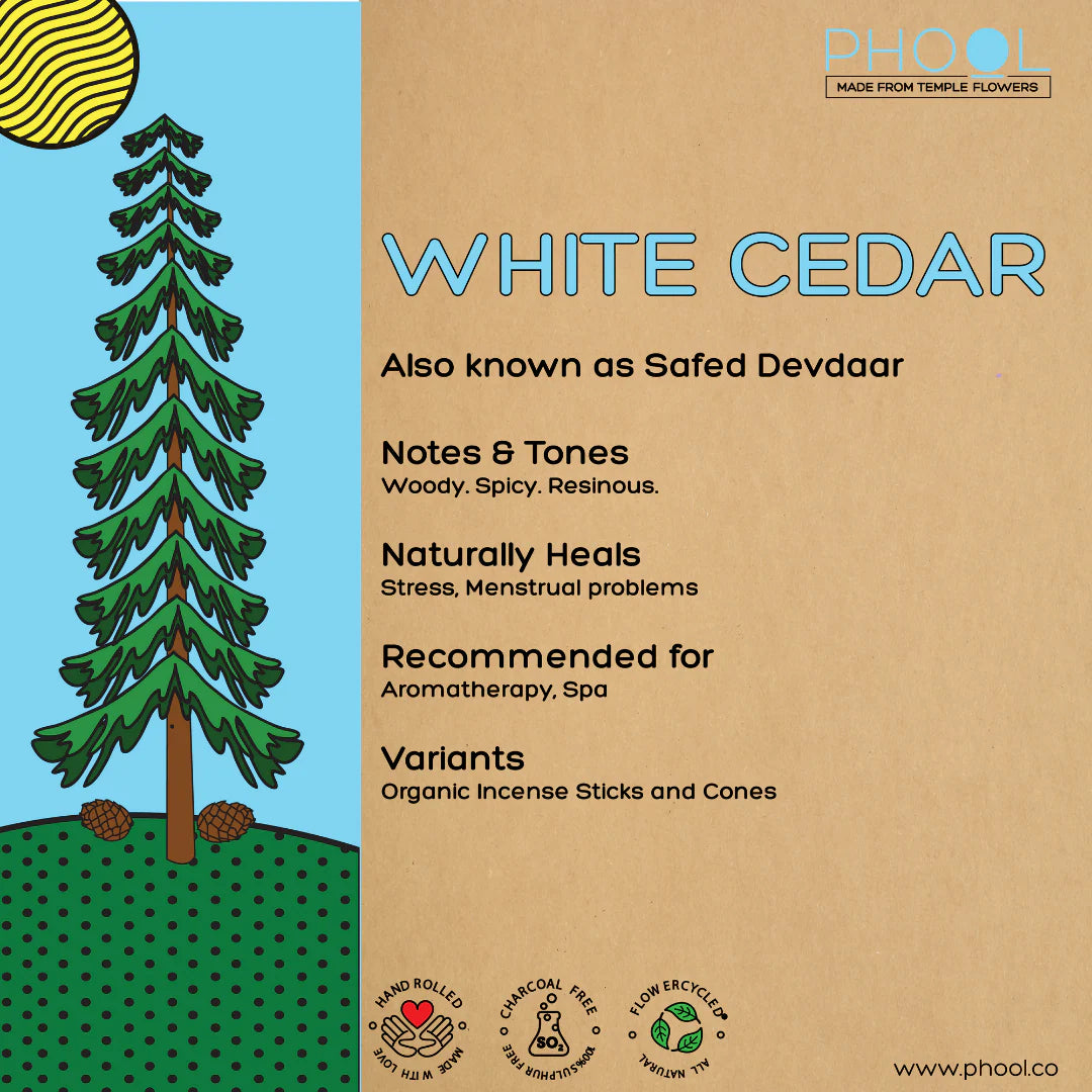 Housewarming Gift Bundle