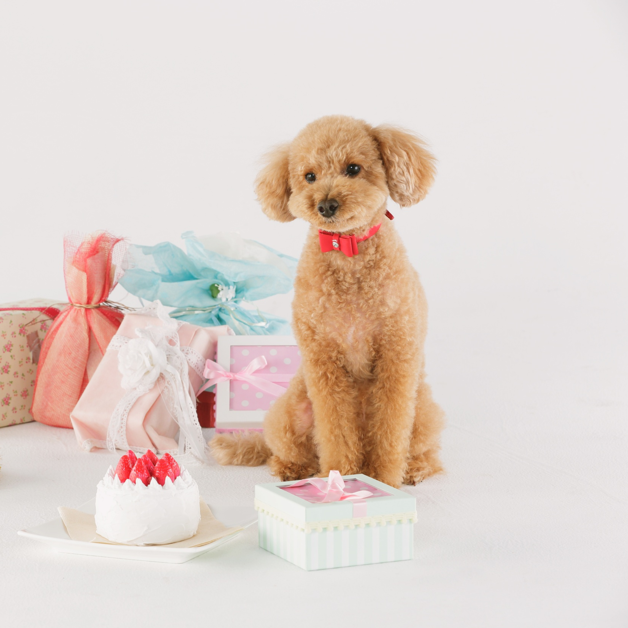 Happy Birthday E-Gift Card