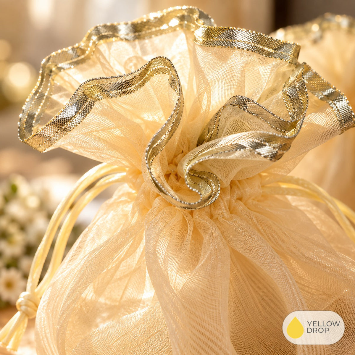 Close-up of organza and silver gota trim