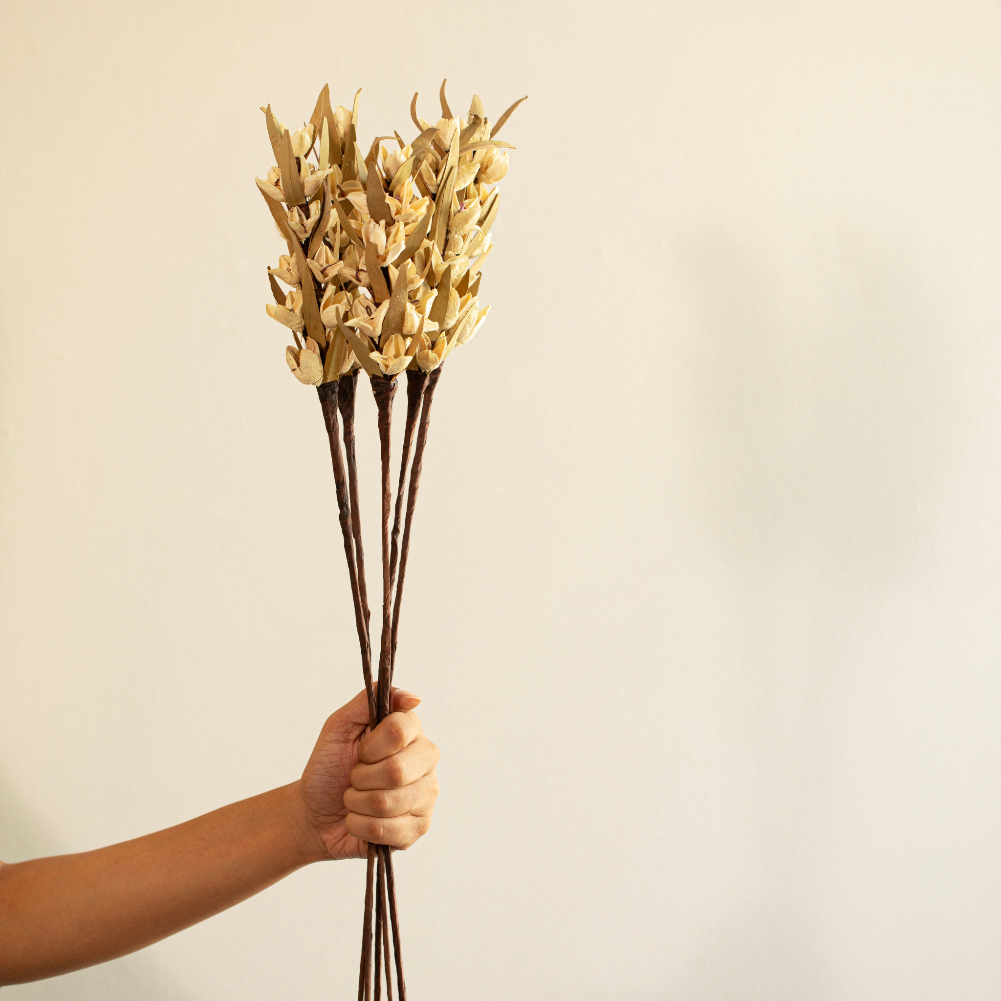 Vase with Dried Flowers Gift Bundle